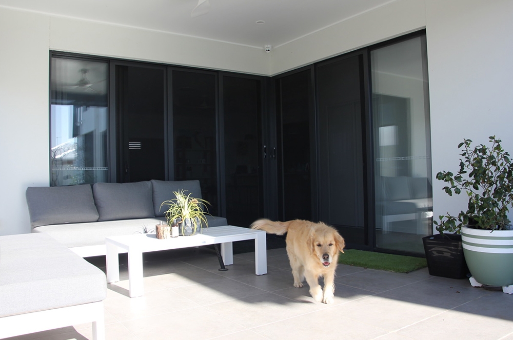 Sliding ForceField stacker doors with cute dog