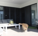 Sliding ForceField stacker doors with cute dog